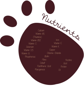 NUTRIENTSinfographic